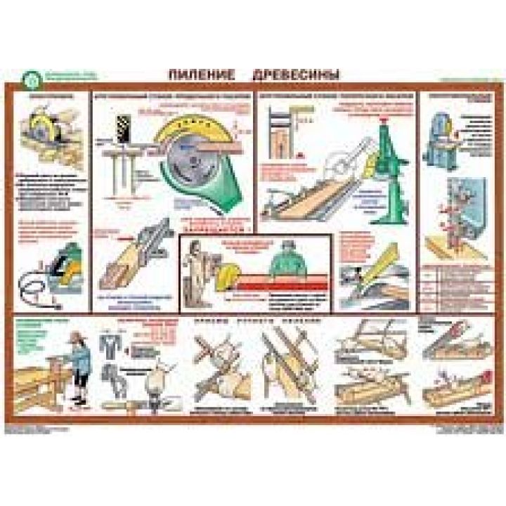 Плакат- Безопасность работ при деревооброботке